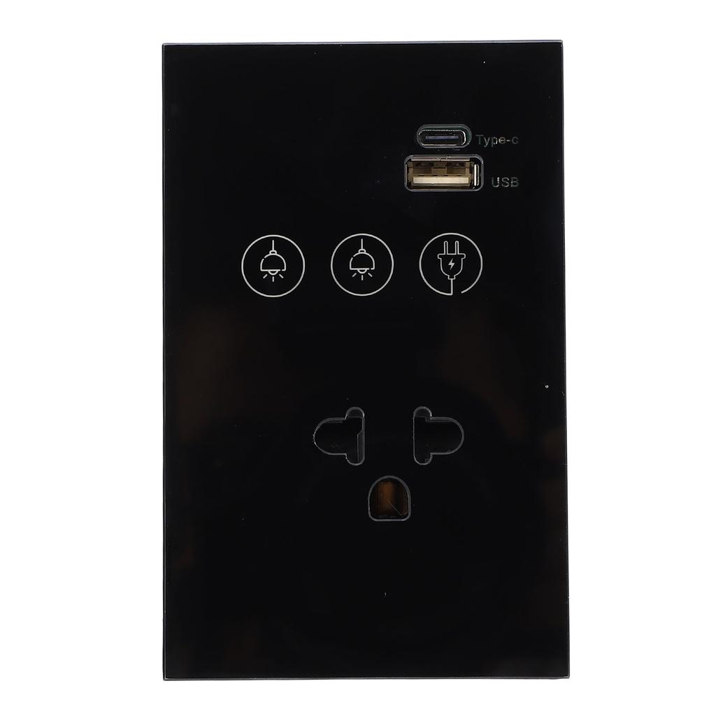 Smart Wall Outlet 2.4G WiFi Touch Light Voice Remote Control Smart Plug with USB and Type C Port for