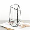 Micro Ecological Geometric Glass Terrarium Handmade Geometric Plant Vase Modern Planter for Moss Succulents Tabletop Greenhouse