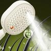 Electric Spray Air Cushion Brush 2-In-1 Misting Hair Brush with Water Spray Reduce Frizz Anti-Static Retractable Steam Massage Comb