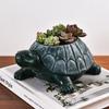 Handicraft Turtle Flowerpot Creative Hydroponic Flower Holder  Aromatherapy Bottle