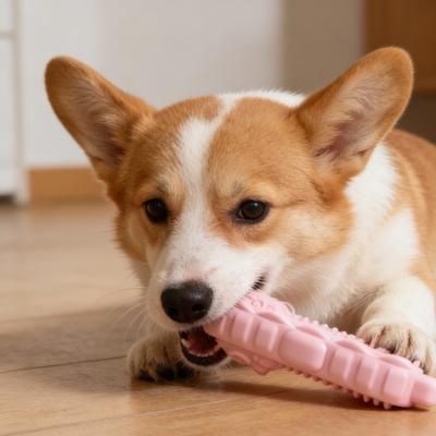 Köpek – Köpek oyuncakları