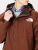 The North Face Mountain Light Waterproof and Dark Size LL Men's Jacket, GORE-TEX, Breathable, Oak,
