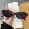 New Vintage Cat Eye Rivet Sunglasses Ladies Fashion Brand Designer Small Frame Sun Glasses Driving Anti-UV Eyeglasses Unisex