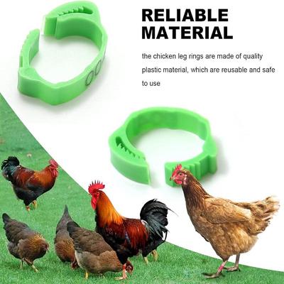 100 Unidades Anillos Ajustables para Patas de Aves de Corral Bandas Etiquetadoras Numéricas para Pie para Identificación de Palomas Patos Gansos Pollos de Granja Casera Clip de Sujeción