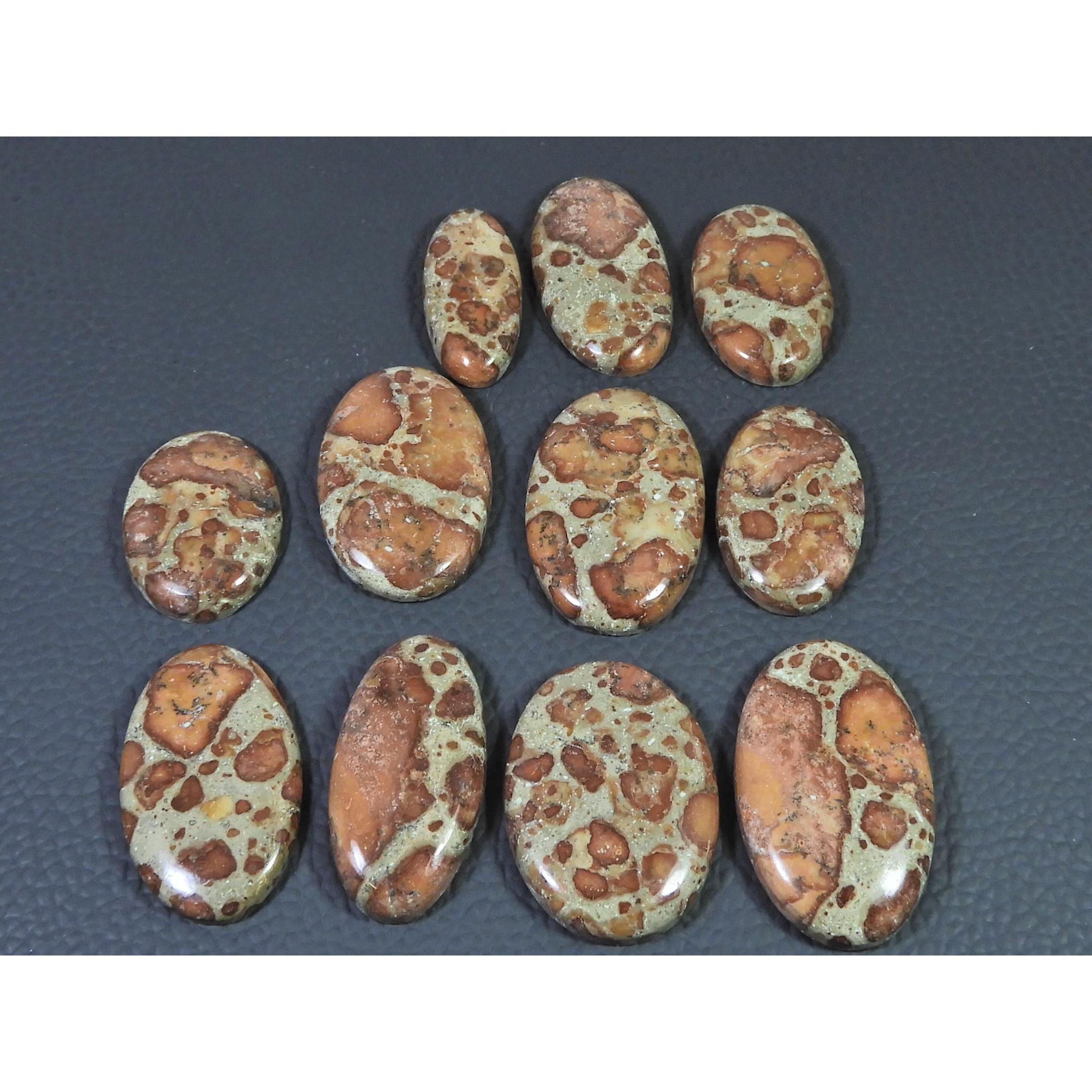 275Cts. Natural Asteroid Jasper Oval Shape Cabochon Loose Gemstone 11Pcs Lot C-2442