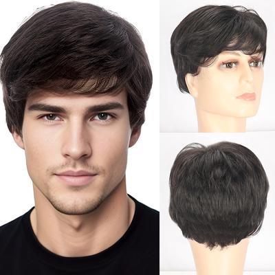 Synthetic Men Short Wig With Bangs Natural Layered Male Straight Black Wig Heat Resistant Fiber Wig Daily Use Cosplay