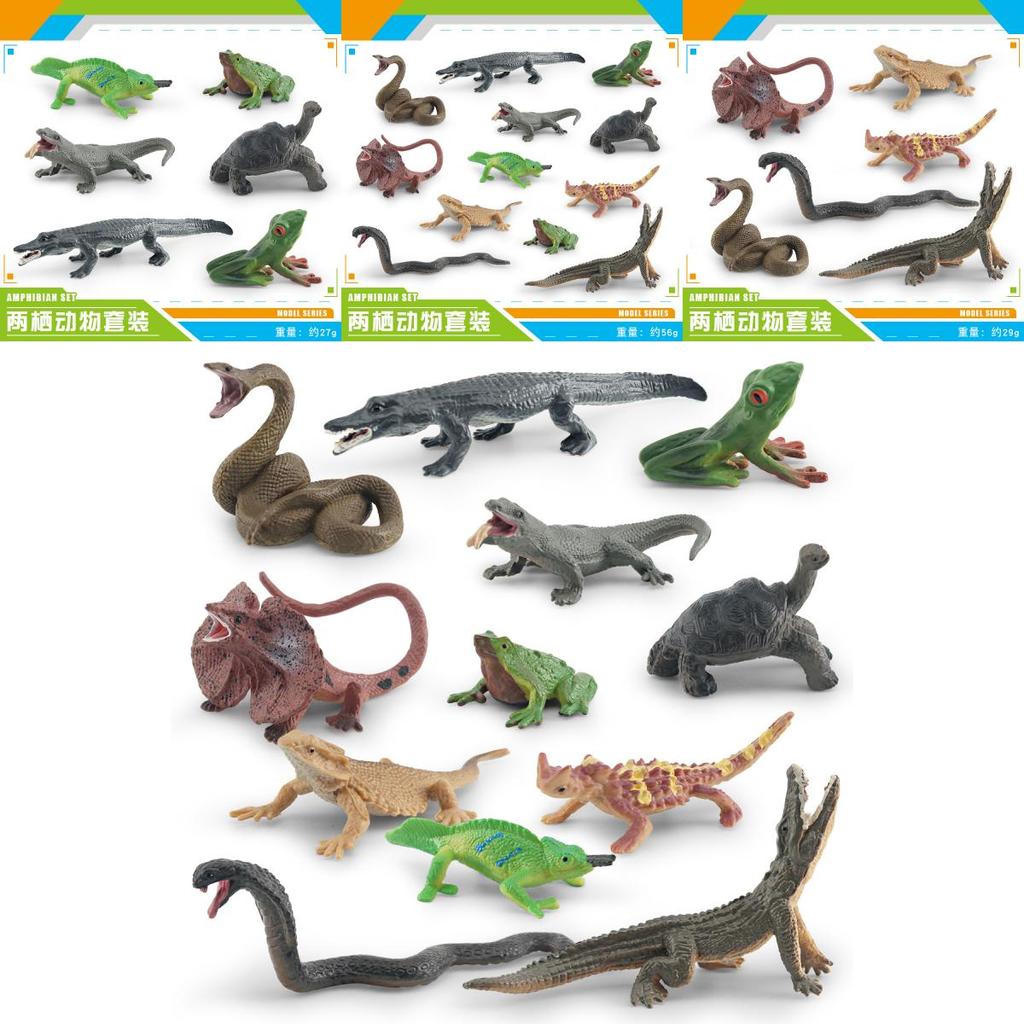 Realistic Pvc Amphibian And Reptile Model Pack For Display And Educational Use