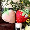 Strawberry Matte Cream Aluminum Foil Balloon for Baby Birthday Party Decoration – Outdoor Photo Prop Background Wall
