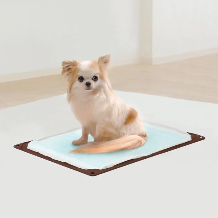 Tapete Sanitário para Cães HARIO, Embalagem Caixa, Regular, para Cães e Gatos Idosos, Cuidado e Treino Sanitário, PTS-TMRCB-CBR