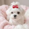 30pcs Elastic Stretch Band Dog Bow Hair Tie Inlaid Rhinestone Ribbon Hair Band  Party Cosplay