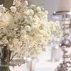 Baby Mini Flower 12bundles Breath Artificial Silk Flowers For Wedding Home Decor