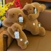 Capybara Plush Toy Cute Cartoon Stuffed Animal Kids Sleep Pillow Home Decor