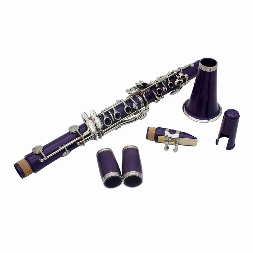 Clarinet ABS 17 Key bB Flat Soprano Binocular Clarinet with Cleaning Cloth Gloves 10 Reeds Screwdriver Reed Case