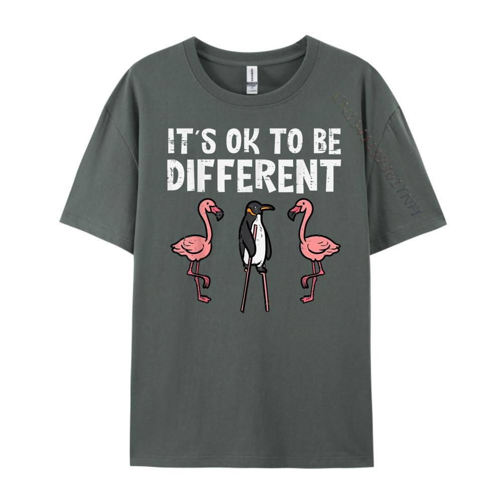 Penguin Its Okay To Be Different Flamingo Graphic T Shirts 100 Cotton Luxury Clothes Men Tee Shirt Loose