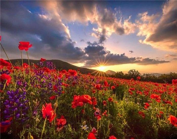 RUOPOTY Digital Painting Flower Sea Hand-Painted Wall Art Painting Unique Gifts On Canvas Sunset Pictures Home Decoration