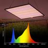 LED Grow Light Full Spectrum Phyto Lamp AC85-240V 40W For Indoor Grow Tent Plants Growth Light