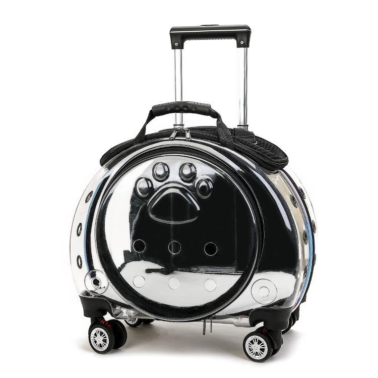 Pet trolley case fully transparent space