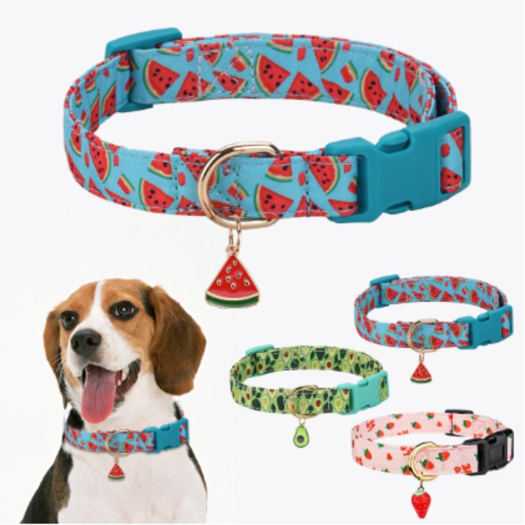 Hondenband met fruitpatroon en Fruit metalen hanger voor Kat Puppy Hond