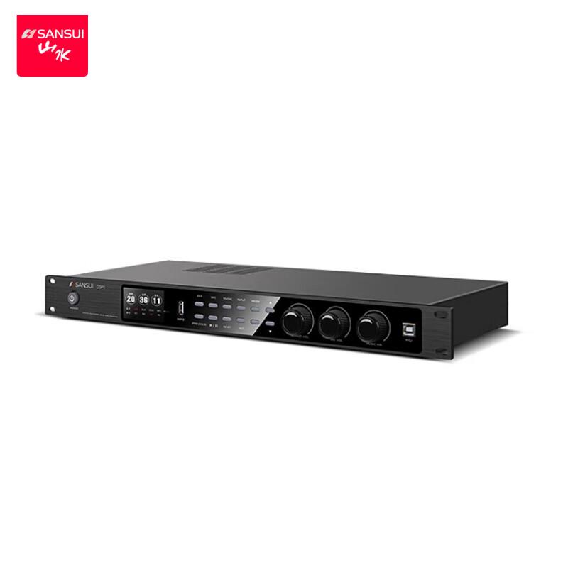 SANSUI DSP1 Professional Anti-Howling Audio Processor CN plug (adapter included)