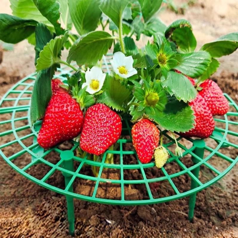 Green Strawberry Planting Stand Plastic Plant Support Cage Garden Anti-Rot Strawberry Growing Racks Holder With 3/4Sturdy Legs