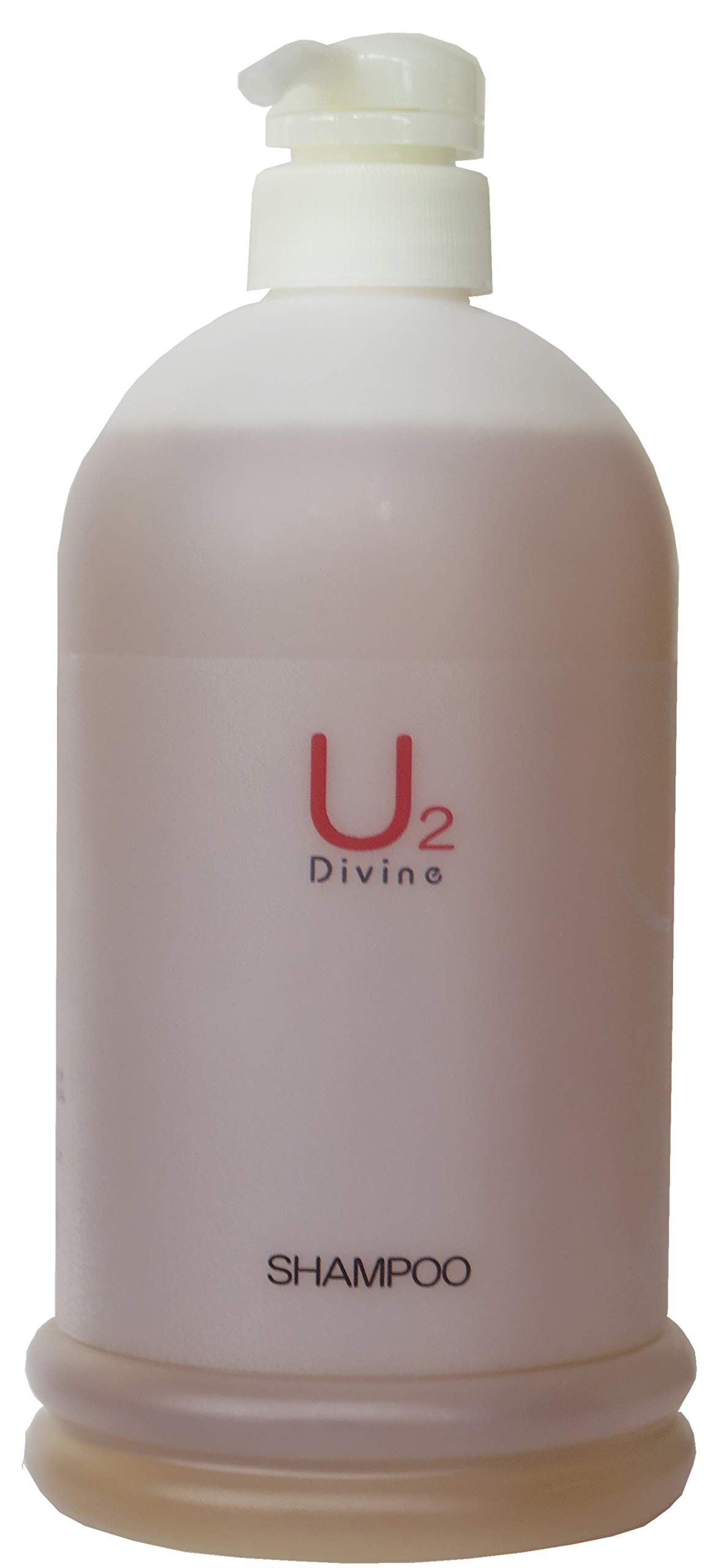

Divine Divine Shampoo [U2] (1000ml)