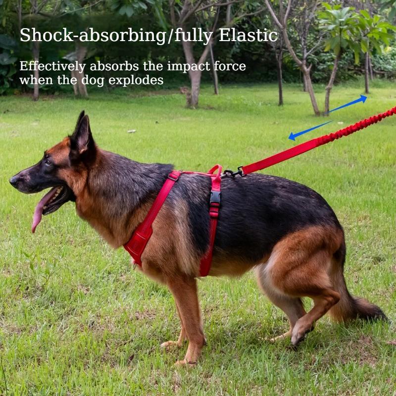 Dual Handle Elastic Dog Leash Shock Absorb Bungee Reflective Walking Lead for Medium Large Dogs Anti-Burst Pets Training Leash