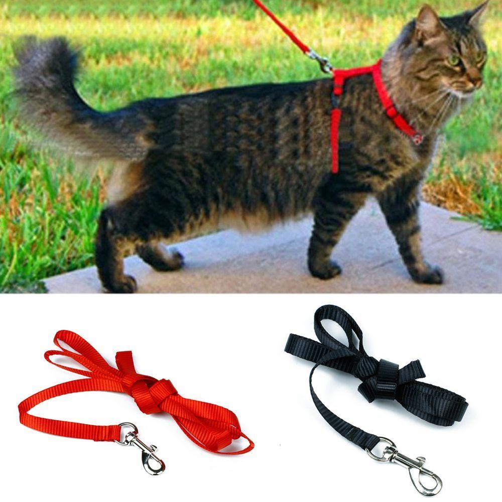 Pet Traction Training Cat Rope Cat Pet Rope Adjustable Cat Belt Nylon Harness Kitten Collar Rope
