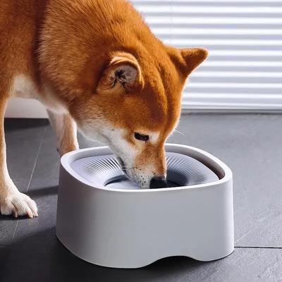 Hundenapf Wassernapf Langsamfresser Hundenapf mit schwimmender Scheibe Schwimmnapf Hundenapf für Welpen Katzen Kaninchen für Zuhause Outdoor