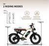 OneSport W66 Retro electric bike 20", 500W motor, 48V 13.5Ah battery, range 40-100 km, full suspension, LED display