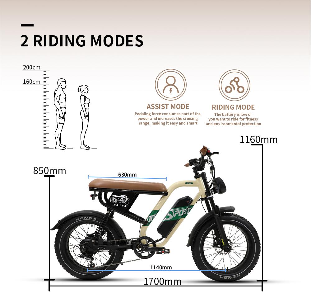 OneSport W66 Retro electric bike 20", 500W motor, 48V 13.5Ah battery, range 40-100 km, full suspension, LED display