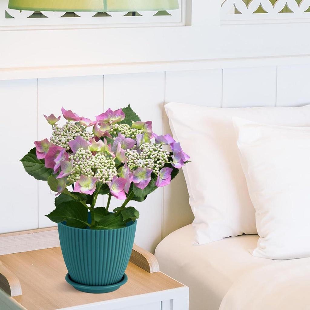 Plastic Round Flower Pots with Tray for Home Planters, Terrace, Garden Etc | Pack of 05 | Peacock | Size 6.5 Inch | for Home Indoor & Outdoor