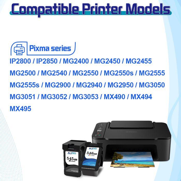 Ink Cartridge - CHOUMICHA - 545XL - Compatible Canon - Black - 1 Piece