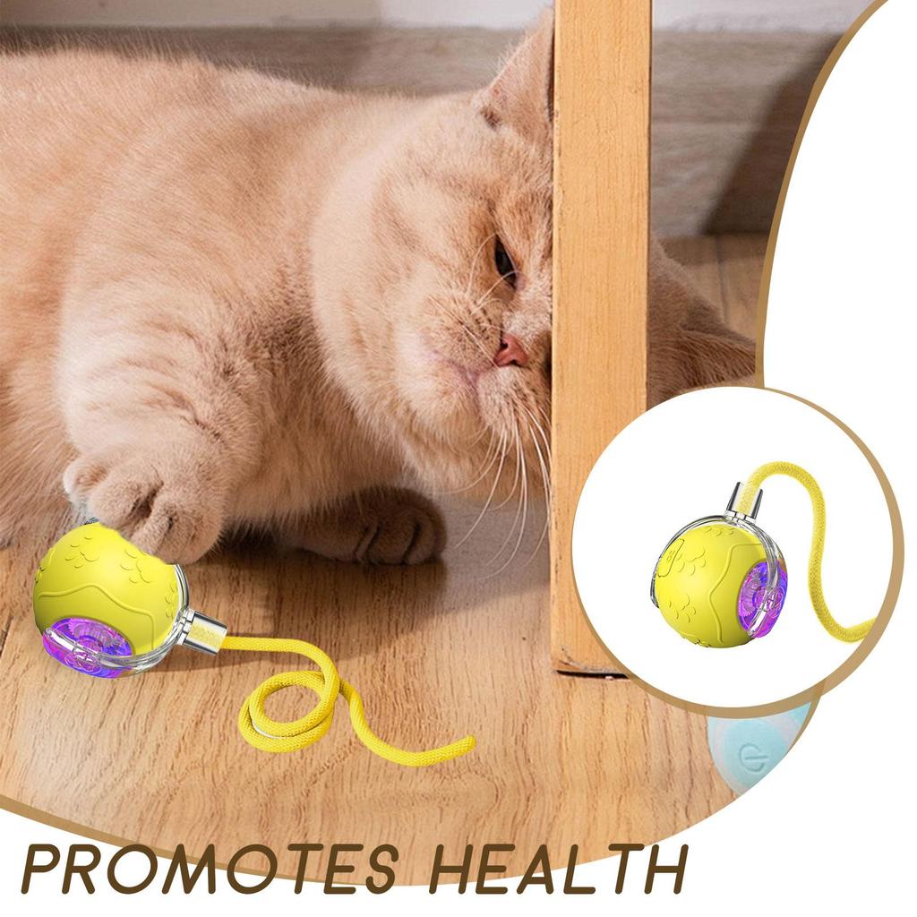Electric Cat Ball Toy With Rope Fun Rechargeable Puppy Game Silicone Jumping Ball Cat Toy For Indoor Play Enrichment Exercise