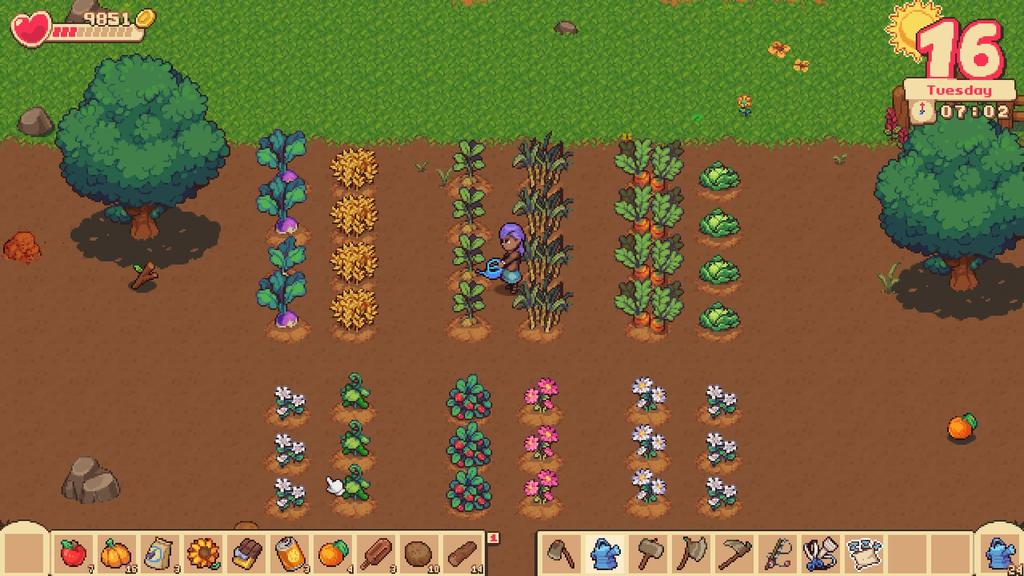 Orange Season North Switch (Import America) –