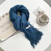 Kašmírový šátek na ruku, podzimní a zimní, jednobarevný, dámský, tlustý střapec, jednoduchý a všestranný, měkký a teplý, imitace kašmíru