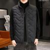Feather Rong cotton vest men's autumn and winter stand-up collar warm vest Korean version fashion casual large size men's vest men's clothing