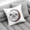 Seal Sea Cute Funny Throw Pillow Case For 50x50cm 40x40cm 55x55cm 45x45cm 30x30cm Square Bedroom Pillowcase Cover