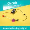 Simulated Light Bulb Circuit Experimental Material Set Children Puzzle Toys For Kids Science Education And Creativity