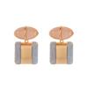 Ladies' Dopamine Fashion Contrasting Geometric Resin Earrings, Niche Geometric Earrings