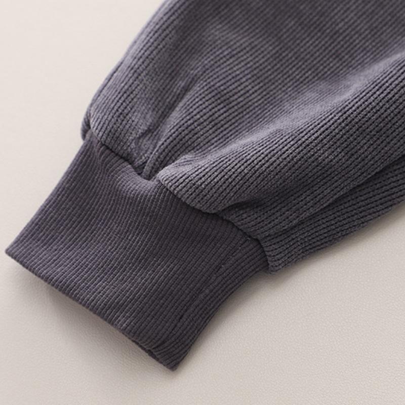 Autumn and Winter Boys Clothing Set New Children's Korean Edition Hooded Sweater Pants Two piece Set Girl Baby Velvet Set