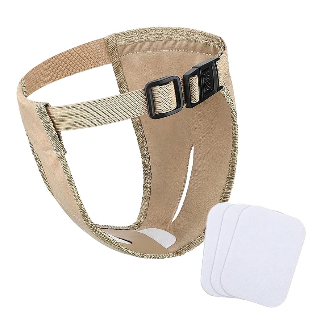 Haustier-Sicherheitshose mit 3 Wattepads, physiologische Hose, Hygienehose, Größe S-XXL