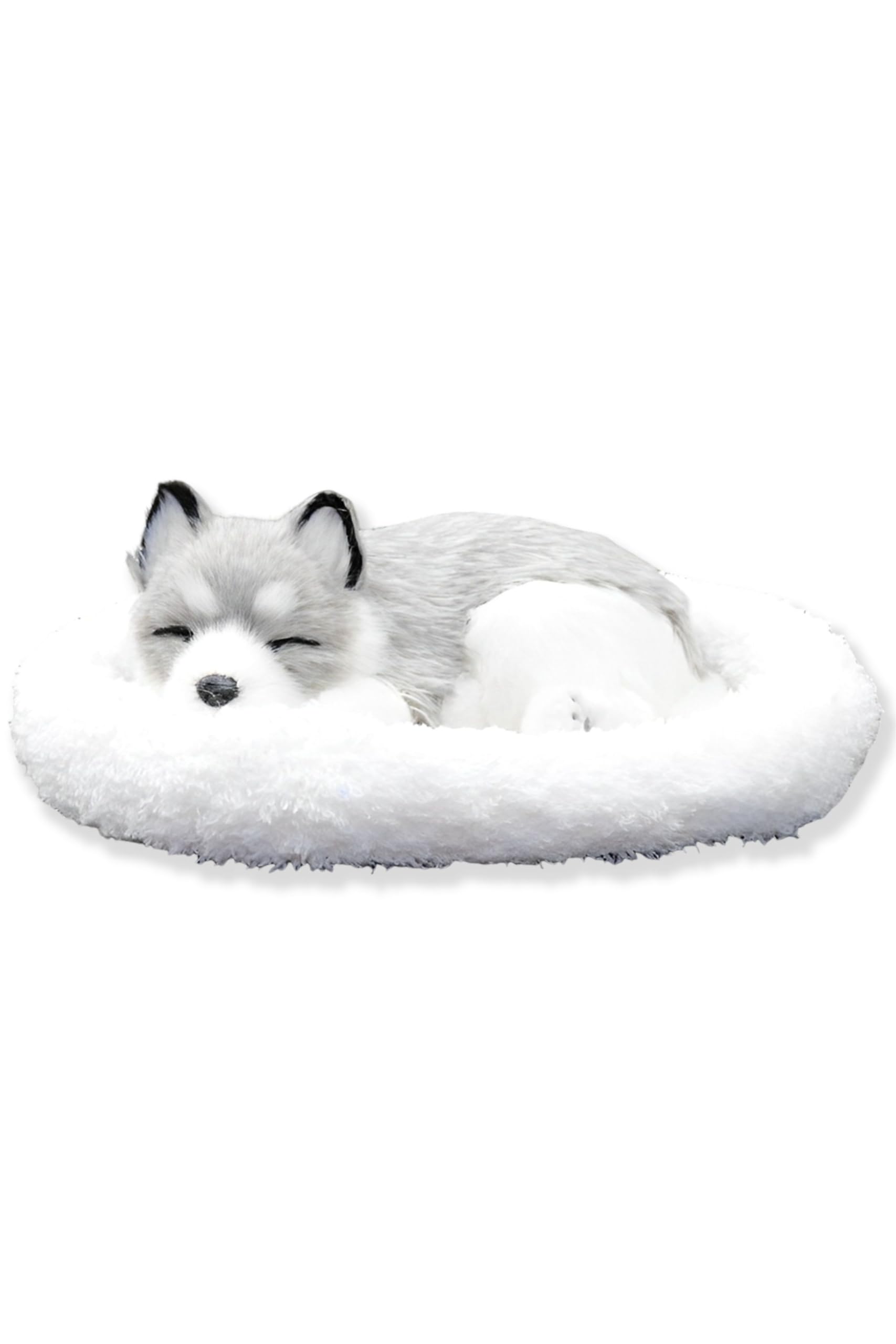 

TASINO Dog Plush Toy Figurine 26 x 18 cm Realistic Cute Realistic (Husky 2)