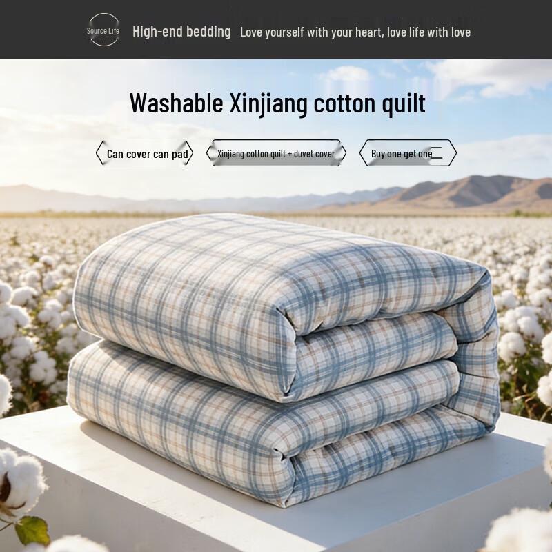 Xinjiang Cotton Quilt with Removable Washable Cover 180x200cm