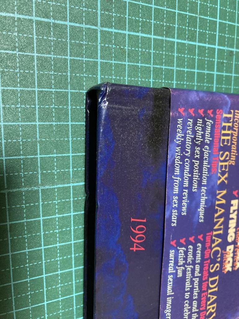 [USED] Foreign Books: The 1994 safer PLANET SEX diary