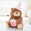 Cute New Teddy Bear Birthday Teddy Bear Doll Plush Toy Girl Doll Hug Bear Gift