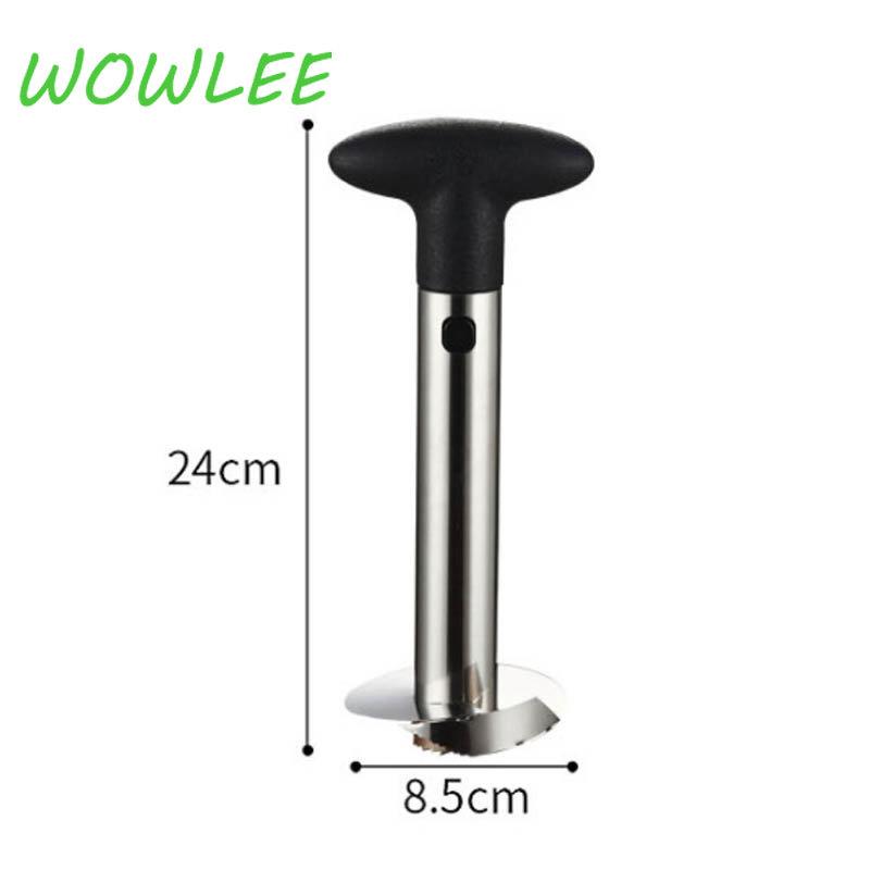 Fruit Pineapple Corer Slicers Peeler Parer Cutter Kitchen   Easy Tool Stainless Steel or Plastic