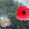 Creative Anti Stress Ball Abreact Squeeze Pinch Water Ball Stress Relief Toys Imitation Egg Tomato Squishy Fidgets Vent Toys