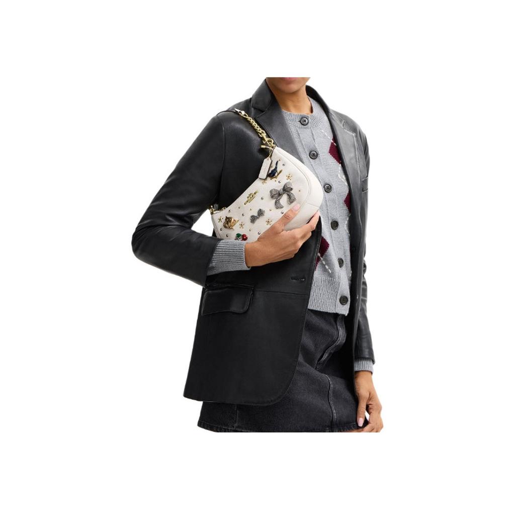 Coach Teri 25 Pin Decoration Leather Crossbody Shoulder Bag Medium Women Bags Chalk-White CCE87-IMCHK
