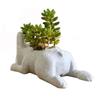 Puppy Pot Decoration Resin Pot Dog Flower Plant Pot