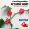 Plant Support Clips Climbing Plants Clip Self-adhesive Rose Plant Climbing Wall Fixture Clips Set for Wall Climbing